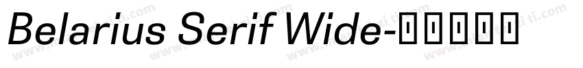 Belarius Serif Wide字体转换